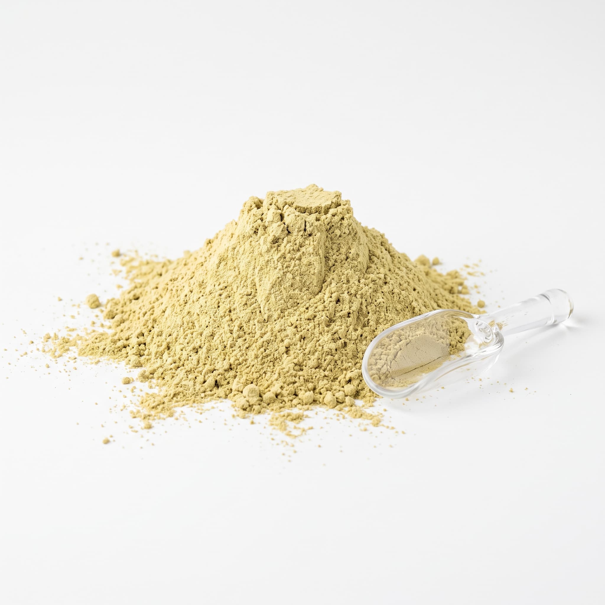 Amla (Amlaki) Powder (200 g)
