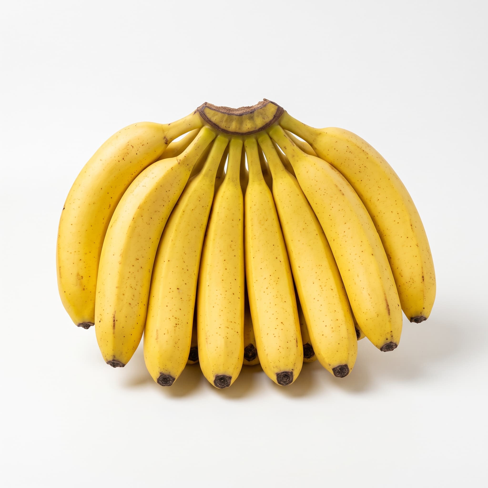 Sagar Kola — Cavendish Banana (dozen)